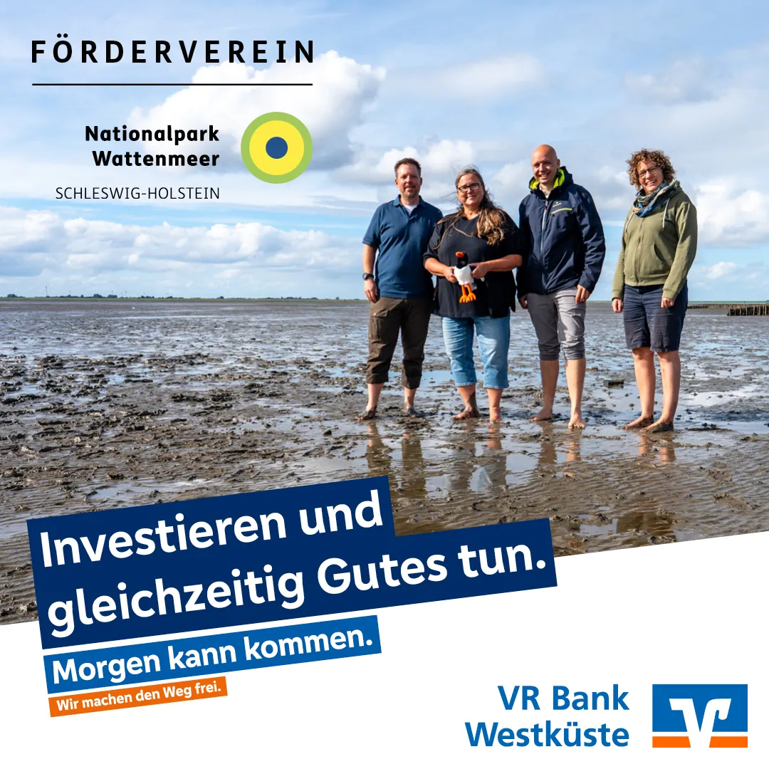 Spenden für die DLRG Harrislee e. - Vier Personen mit Spendencheck